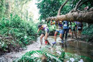 BIB: 
                            <button type="button" onclick="openModal(25469449)" class="btn btn-primary btn-sm float-right btn-popup" data-toggle="modal" data-target=".modal-high-quality">
                        <i class="fas fa-shopping-cart"></i> Add to Cart
                    </button>
                                            <button type="button" onclick="isThisMe(25469449, true)" class="btn btn-success btn-sm float-right btn-popup btn-isme hidden" data-toggle="tooltip" data-placement="bottom" title="นี่คือรูปของคุณใช่ไหม คลิกที่นี่เพื่อเอาเข้าอัลบั้ม">
                        <i class="fas fa-plus"></i> Add to album
                    </button>
                    <button type="button" onclick="isThisMe(25469449, false)" class="btn btn-warning btn-sm float-right btn-popup btn-isnotme hidden">
                        <i class="fas fa-ban"></i> Remove from album
                    </button>